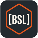1C bsl-analyzer